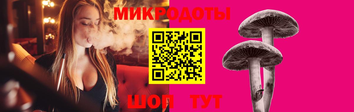 Рославль  Псилоцибиновые грибы Cubensis  Вход с VPN  хочу наркоту  Псилоцибиновые грибы GOLDEN TEACHER 